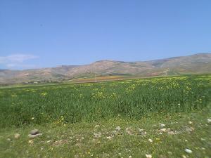 Ouest de la commune de Ouarizane au Printemps (Relizane)
