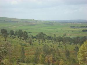 Paysage de Relizane au Printemps