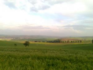 Paysage de Relizane au Printemps