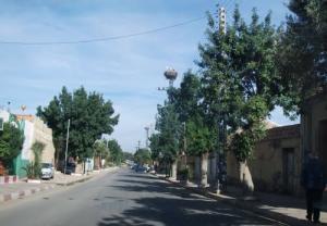 Une Allée de Oued es Salam à Relizane