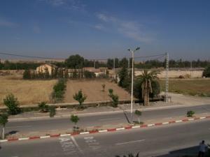 Une Allée de Relizane