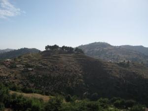 Paysage de Relizane au Printemps
