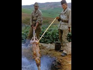 OUED-HAMLIL - ZEBOUDJA ( Chlef)