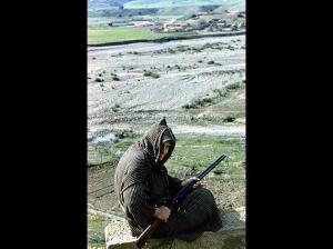 OUED-HAMLIL - ZEBOUDJA ( Chlef ).