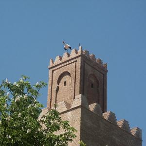 مئذنة مسجد المشور