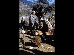 OUED-HAMLIL - ZEBOUDJA (Chlef)