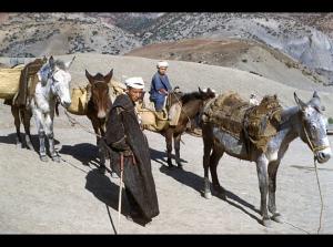 OUED-HAMLIL - ZEBOUDJA (Chlef)