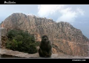 صورة لرأس كربون المتواجد بساحل بجاية