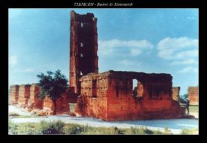 آثار مدينة منصورة بتلمسان