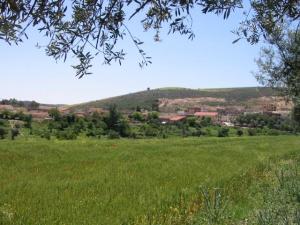 بلدية أغلال بولاية عين تموشنت