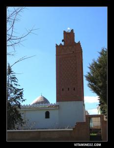 مسجد قرية الفراونة (ولاية تلمسان)