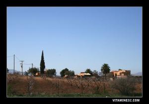 مزرعة قرب بلدية الحناية (تلمسان)