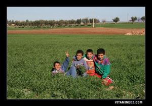 أطفال من مدينة الحناية يلعبون في الحقول المجاورة للمذبحة العمومية