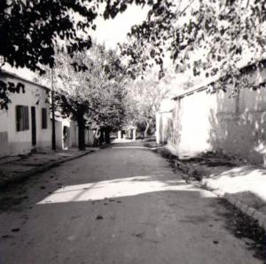 شارع المغسل بأبي تشفين سابقا 