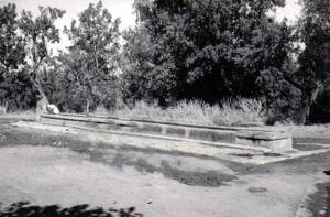 الحوض الشمالي بأبي تشفين سابقا 