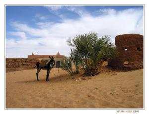 مدخل قرية ڨنتور ببلدية أولاد عيسى