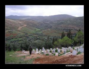 مقبرة قرية عين دوز قرب غابة زاريفت بجبال تلمسان