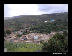 صورة إجمالية لقرية عين دوز