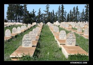 مقبرة الشهداء عند مدخل مدينة الحناية (ولاية تلمسان)