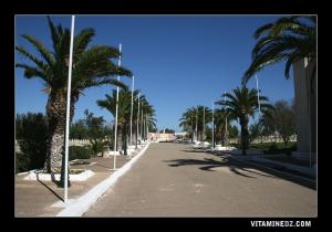 مقبرة الشهداء عند مدخل مدينة الحناية (ولاية تلمسان)