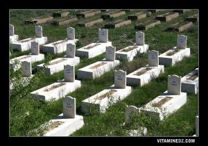 مقبرة الشهداء عند مدخل مدينة الحناية (ولاية تلمسان)