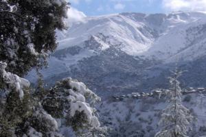 djurdjura seddaw wedfel