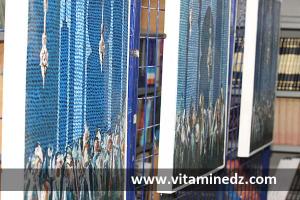 Exposition de peintures à Tlemcen