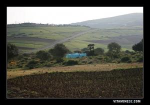 قرية سيدي أحمد بن عريمة بين سيدي يعقوب و شهابنة فواڨة