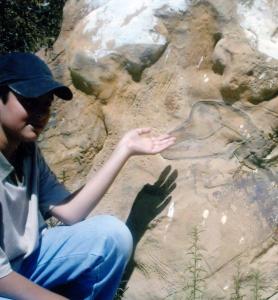 صورة لحفريات دينصور بمنطقة عزازڨة (ولاية تيزي وزو)