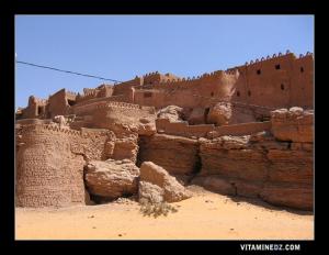 قصر قديم بمنطقة تاغيت (ولاية بشار)