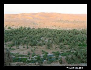 واحة بختي بمنطقة تاغيت (ولاية بشار)