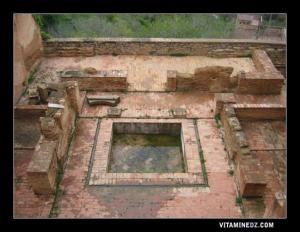 آثار دار السلطان: قصر السلطان المريني أبو الحسن ابن علي بحي العباد (تلمسان)