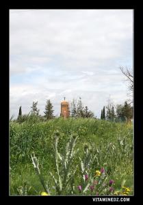 نصب تذكاري للأمير عبد القادر بسيدي قادة (ولاية معسكر)