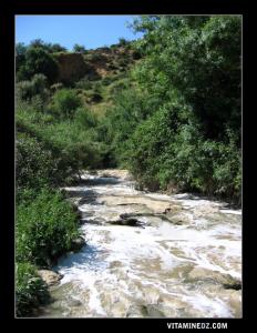 صورة لواد سكّاك مرورا بعين الحوت (ولاية تلمسان)