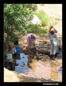 نساء يغسلن الصوف بمنبع عين الخادم (ولاية تلمسان)