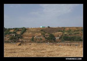 ضريح سيدي مخفي بقرية شعبة اللحم (ولاية عين تموشنت)