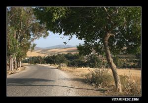 مدخل قرية بن سكران (ولاية تلمسان)