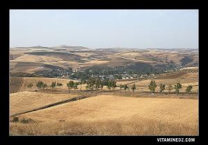 صورة لمنطقة بن سكران و جسر إيسر القديم (ولاية تلمسان)