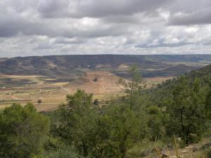 نحو البنيان