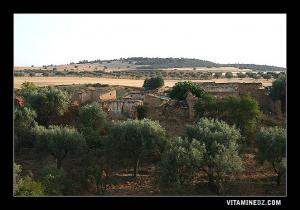 بقايا منازل قديمة على طريق بلدية عميّر (ولاية تلمسان)