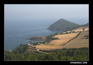 شاطئ بالمنطقة الشرقية لمدينة تنس