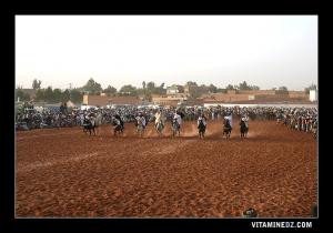 فرسان وعدة سيدي الشيخ