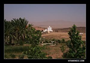 قبر سي محمد بن سليمان بن سماحة بمنطقة شلالة دهرانية (ولاية البيض)