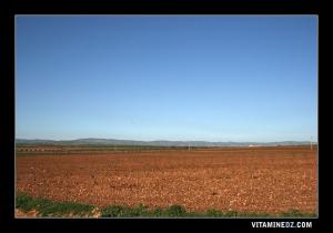 الحقول الزراعية ما بين الحناية و عين يوسف (تلمسان)