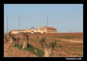 مخزن قديم للخمور في ضواحي بلدية عين يوسف