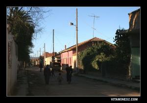 جولة عبر أحياء عين يوسف