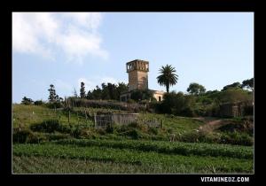 حقل زراعي بمنطقة سيڨا