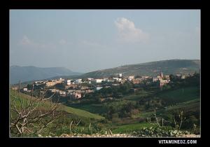 قرية سوق الإثنين المقاطعة الرئيسية لبلدية ولهاصة