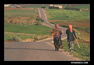 نساء من الريف لمنطقة شهابنة فواڨة