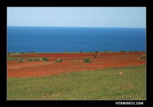 حقول زراعية في الطريق الرابط بين الهدهادة و الوردانية